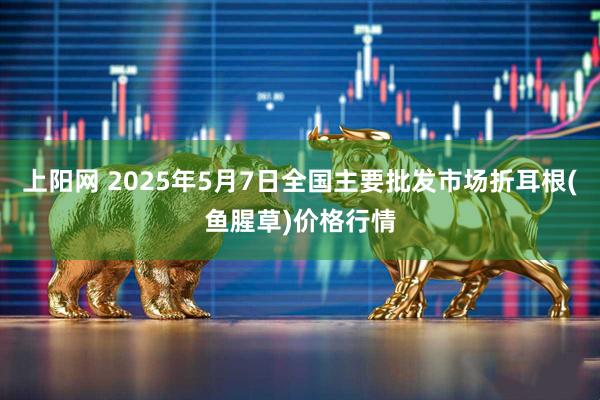 上阳网 2025年5月7日全国主要批发市场折耳根(鱼腥草)价格行情