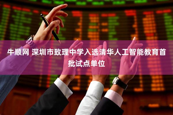 牛顺网 深圳市致理中学入选清华人工智能教育首批试点单位