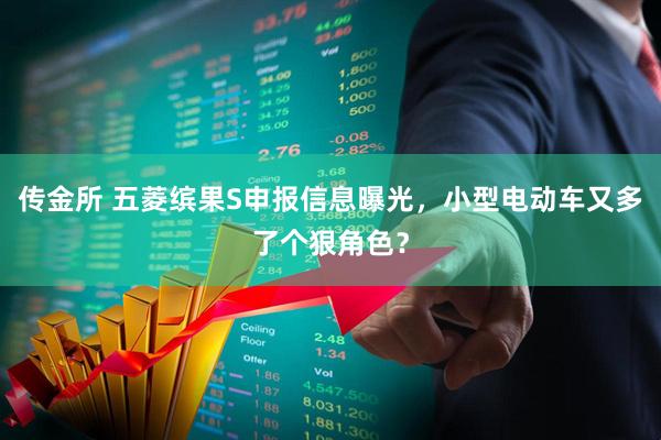 传金所 五菱缤果S申报信息曝光，小型电动车又多了个狠角色？