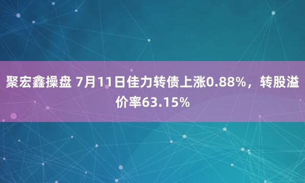 聚宏鑫操盘 7月11日佳力转债上涨0.88%，转股溢价率63.15%