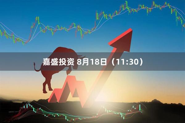 嘉盛投资 8月18日（11:30）